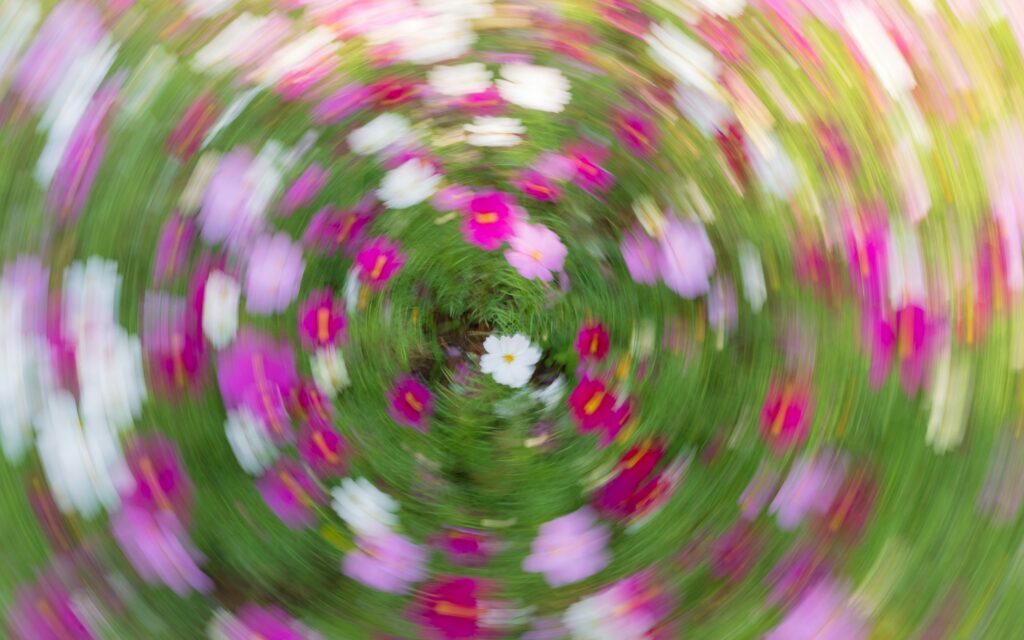 China green energy transition illustrated by large-scale solar and wind power infrastructure