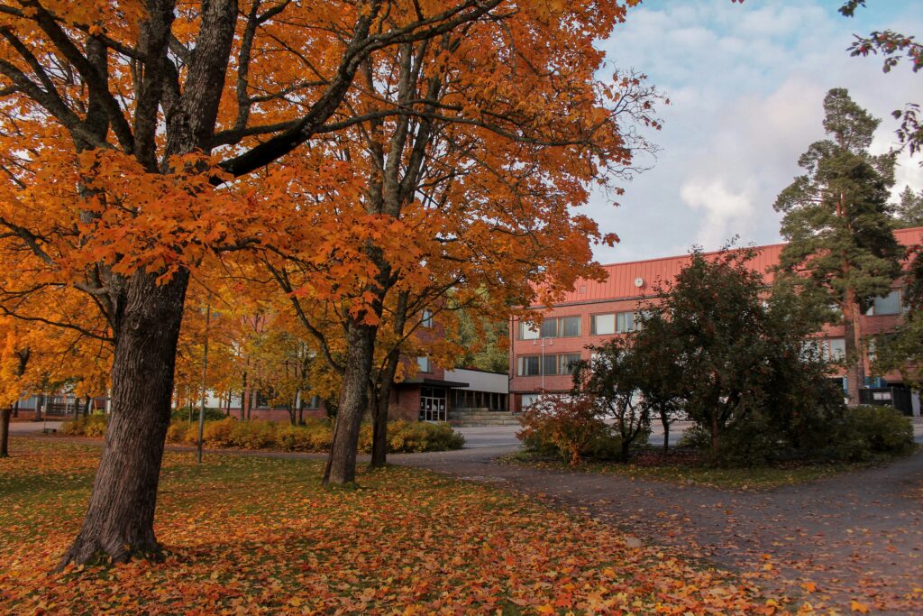 Finnish public school campus surrounded by trees illustrating the Finland education system and its learning environment