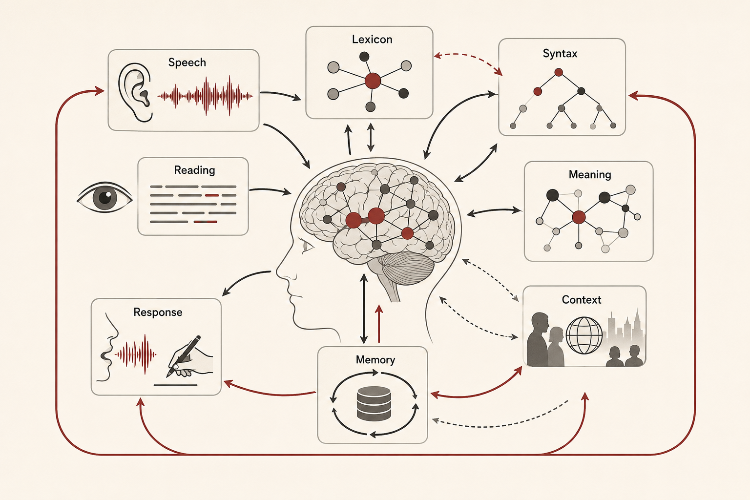 Minimal institutional research illustration showing language processing through speech, reading, lexicon, syntax, meaning, context, memory, and response around a central brain network.